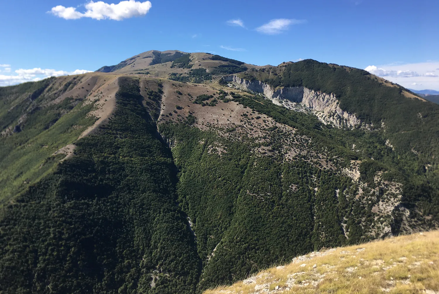 visitare cagli e dintorni